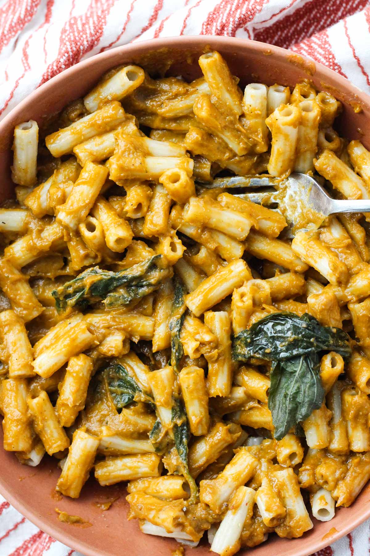 Pasta smothered in fresh sauce and topped with basil leaves.