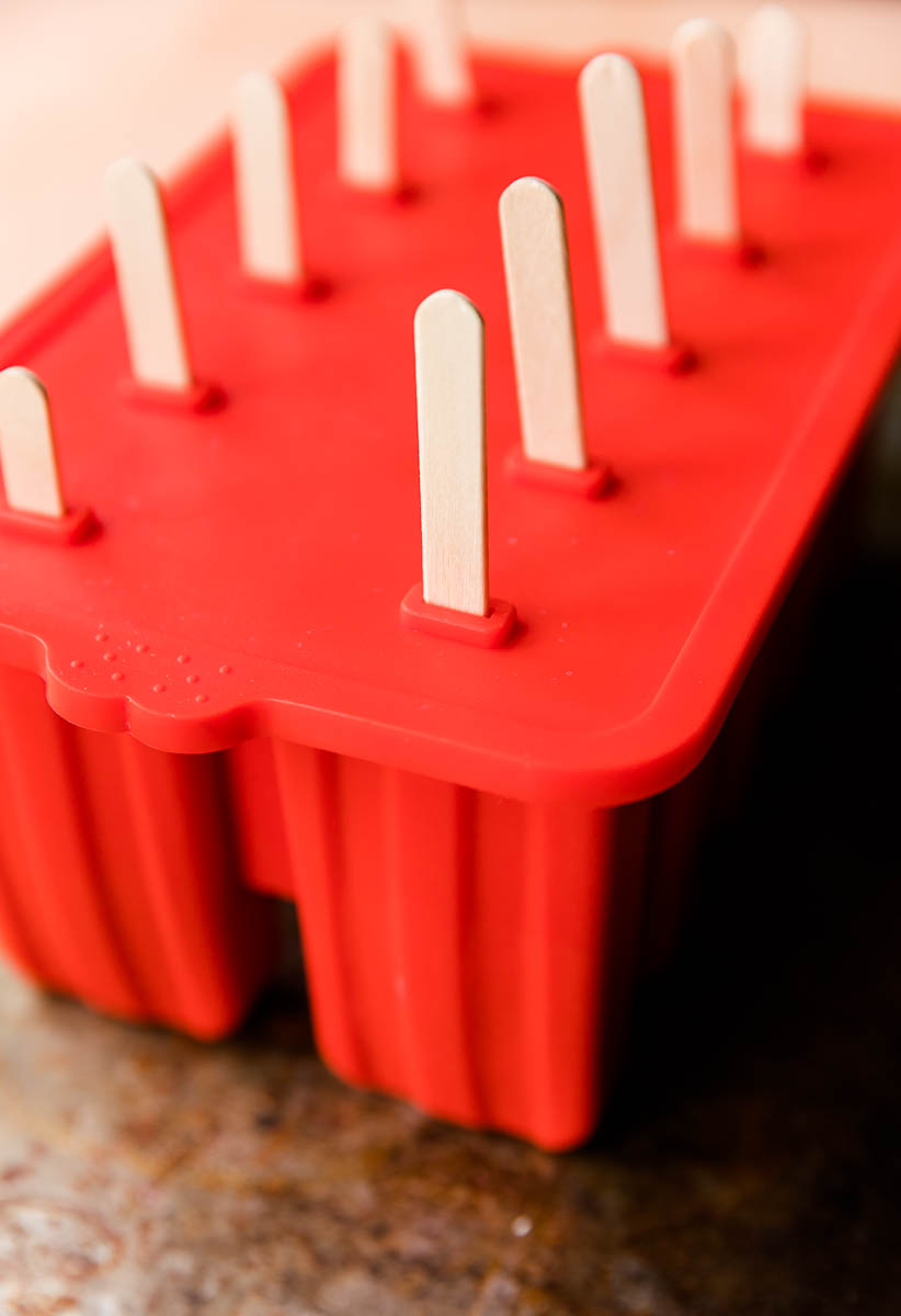 Popsicle mold with sticks.