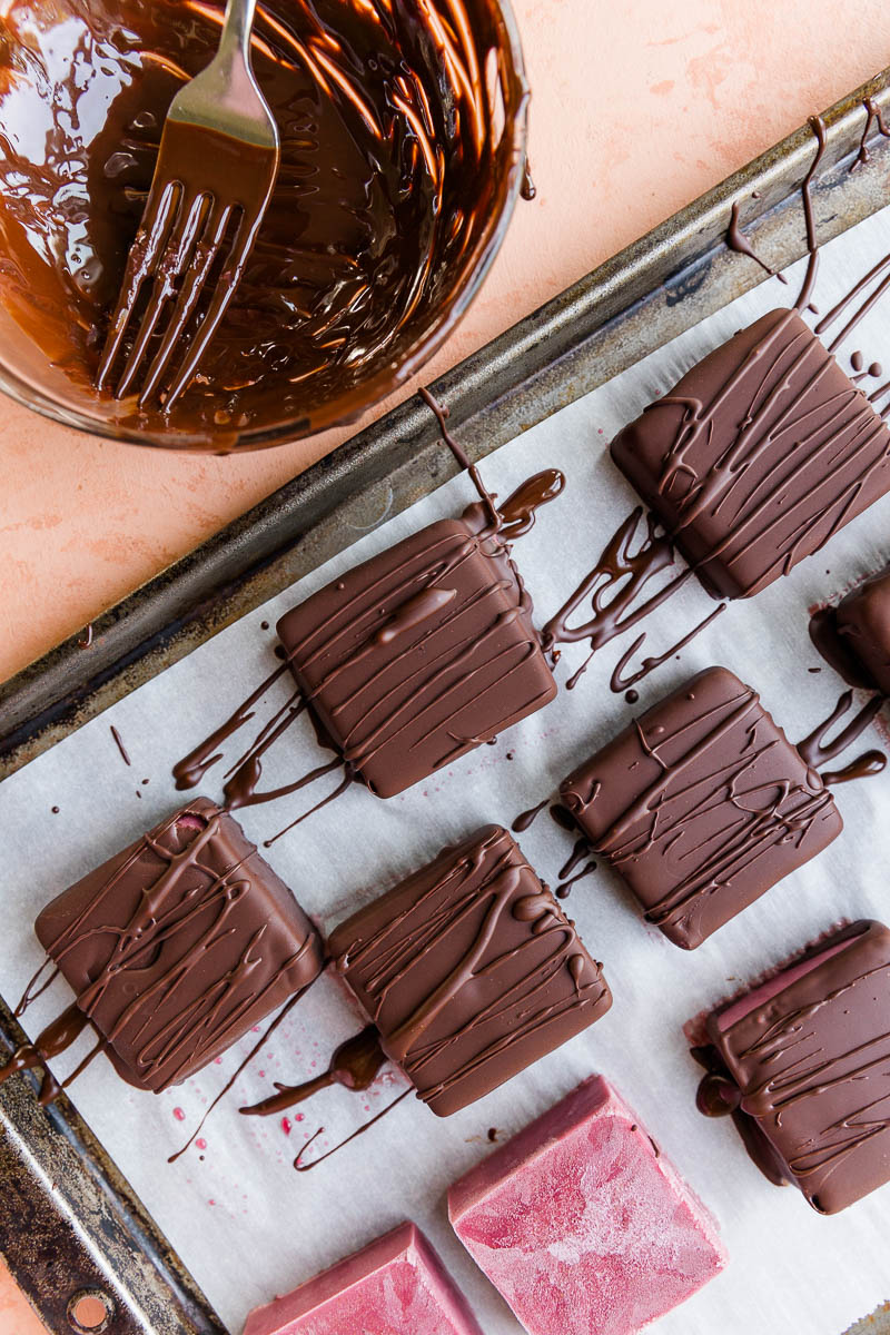 Dairy-Free Cherry Ice Cream Bars Dipped in Chocolate - Fresh Water Peaches