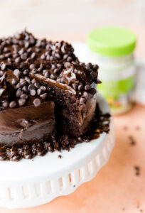 Chocolate cake with chocolate frosting and chocolate chips on top.