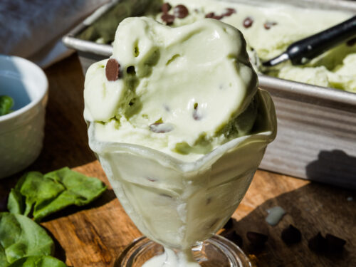 Glass Food Bowl／Ice Mint / tofmofu mint-chocolate-chip-ice-cream-
